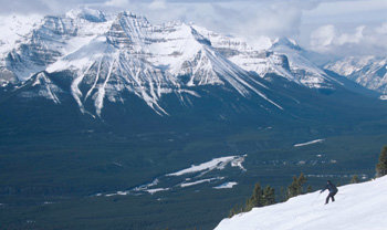 봄빛 완연한 캐나다 로키산맥의 대자연. 그러나 산정의 스키장은 지금도 내리는 눈 덕분에 한겨울을 방불케 한다. 사진은 봄 스키 시즌을 맞은 레이크루이스 스키장의 풍경. 조성하 기자