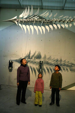 어린이를 위한 특별 전시가 열리는 서울 한남동 삼성미술관 ‘리움’ 안에 있는 삼성아동교육문화센터 전시장 모습. 동아일보 자료 사진