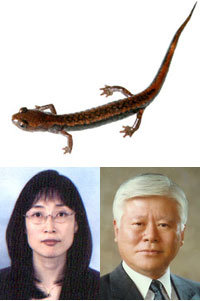 민미숙 박사(왼쪽 아래) 양서영 명예교수(오른쪽 아래)