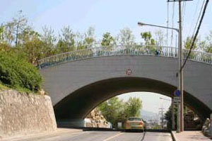 서울 동작구 대방동 노량진근린공원에 도로개설로 단절된 녹지공간을 잇는 길이 20m, 폭 20m의 생태육교. 연합