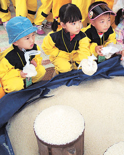 지난해 10월 전남 곡성군에서 열린 심청축제 중 ‘공양미 삼백석’ 모으기 행사. 유치원생들이 집에서 가져온 쌀을 쏟아 붓고 있다. 사진 제공 곡성군