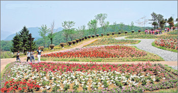 다양한 빛깔의 봄꽃으로 단장한 경기 여주군의 해여림 식물원. 강병기 기자