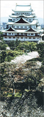 도쿠가와의 옛 거처흰 외벽과 청동 기와지붕의 어울림이 멋진 나고야 성. 막부의 쇼군이던 도쿠가와 이에야스 가문의 거처로 사용됐다. 아이치=조성하 기자