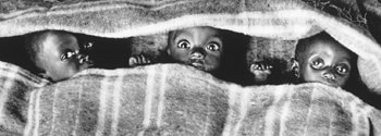 1994년 르완다 난민 수용소에서 찍은 고아들 모습. 모포에 싸여 세상을 바라보는 아이들의 눈빛에는 호기심과 두려움이 함께 어려 있는 듯하다. 사진 제공 김영섭사진화랑