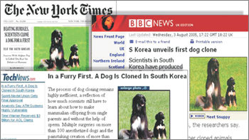 뉴욕타임스 워싱턴포스트 BBC 등 세계 주요 언론은 황우석 교수팀의 개 복제 성공 소식을 앞 다퉈 보도하며 이번 연구 성과가 인류의 질병 치료에 기여할 것이라고 분석했다.
