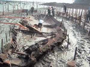 개펄에 모습 드러낸 ‘역사’23일 오전 전남 신안군 안좌도 북쪽 해안의 고려 선박 발굴 현장. 바닷물이 빠져 배가 개펄에 노출됐을 때에만 발굴이 가능하기 때문에 매일 1시간 30분 정도만 작업을 할 수 있다. 신안=이광표 기자