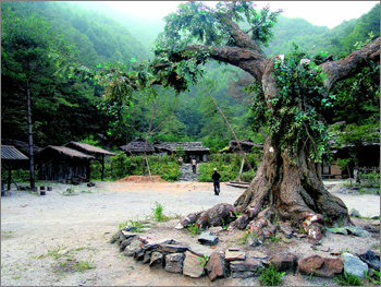 영화 ‘웰컴투 동막골’의 세트장. 광란의 전쟁, 이념의 대립 속에서도 순수함과 따뜻함을 잃지 않았던 동막골의 전경이 평화스럽다. 정선=조성하 여행전문기자