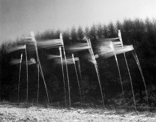 ‘바람의 형상’ 오진영(한국) 제40회 동아국제사진전 흑백 부문 동상