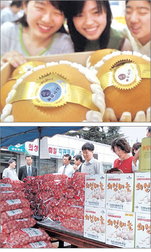 경기 안성시는 1996년 농산물 공동브랜드 ‘안성마춤’을 개발했다(위). 경북 의성군의 ‘의성마늘’ 브랜드도 소비자들의 사랑을 받고 있다. 동아일보 자료 사진