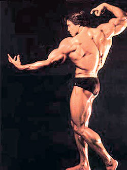 대상이었던 ‘역도’가 각광받기 시작한 것은 1970년대 후반 아널드 슈워제네거의 출현 때문이었다. 그는 우람한 체구에 힘도 장사였고 성실했다. 케네디 가문의 여성과 결혼한 그의 이력은 보디빌딩의 신화에 한껏 불을 지폈다. 사진 제공 사이언스북스