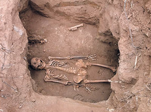 칭기즈칸 왕족의 무덤으로 추정되는 동몽골 유적에서 발굴된 유골. 800년 전의 유골이라고는 믿기지 않을 만큼 보존 상태가 좋다. 사진 제공 고려대 한국학연구소