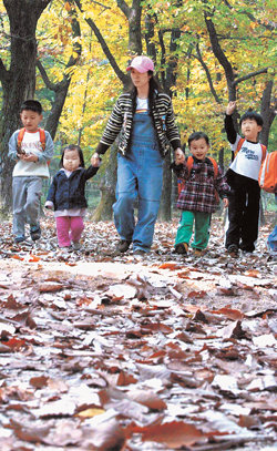 늦가을의 정취를 느끼려면 낙엽이 뒹구는 숲길을 걸어 볼 일이다. 27일 오후 서울 노원구 공릉동 태릉을 찾은 어린이집 원생들이 선생님과 낙엽이 쌓인 길을 걸으며 즐거워하고 있다. 원대연 기자