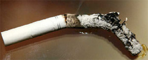 담배를 많이 피우는 사람일수록 발기 횟수가 적어진다. 전영한 기자