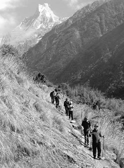 터벅터벅 雪山 속으로…트레킹 전문가들은 초보자에게 안나푸르나를 추천한다. 히말라야 트레킹을 하는 사람들 중 3분의 2가 찾는 대표적인 명소인 데다 동네 야산을 오를 정도의 체력만 있으면 충분하기 때문이다. 사진 제공 노스페이스