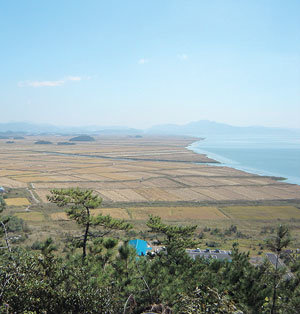 자연이 준 선물수천만 평에 이르는 전남 영암군 삼호읍 일대 간척지가 동아시아 시장을 향한 한반도의 관문으로 거듭 태어날 날을 기다리며 광활한 모습을 드러내고 있다. 거세지 않은 파도와 낮은 고도의 넓은 땅은 관광레저 산업 개발지로서 동북아 최고의 자연조건을 갖추고 있는 것으로 평가되고 있다. 사진 제공 전남도