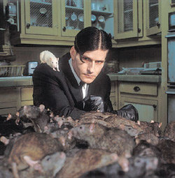 사진 제공 영화풍경