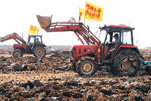 경기 평택시 팽성읍 대추리 주민들이 17일 미군기지 이전 예정지에서 정부의 강제 토지 수용에 반발하며 트랙터로 논을 갈아엎는 ‘논갈이 투쟁’을 하고 있다. 경찰은 마을 외부에서 들어오는 트랙터만 막아 주민들과의 마찰은 없었다. 평택=김미옥 기자