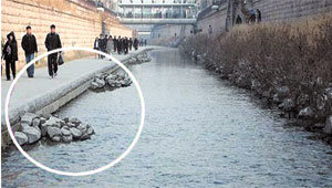 돌멩이 모아 섬 만들고 서울시가 청계천 상류에도 물고기가 살 수 있도록 25일까지 설치키로 한 거석수제. 거석수제는 돌을 쌓아 섬처럼 만들어 이곳에서 물고기가 알을 낳고 자랄 수 있도록 한 장치이다. 사진 제공 서울시