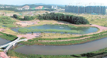 최근 개장한 경기 안산 호수공원엔 갈대습지와 수변광장, 자연학습장, 인라인스케이트장 등 주민 편의시설들이 갖춰져 안산시민들의 휴식처로 각광받을 전망이다. 사진 제공 안산시청