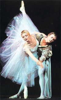 사진 제공 노원구