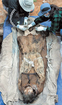 7일 경남 하동군 금성면 가덕리에서 발견된 조선시대 미라를 국립진주박물관 직원들이 살펴보고 있다. 하동=연합뉴스