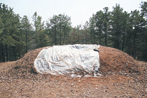 지난해 도굴당한 이후 비닐로 덮어 놓았던 정탁의 묘. 지난달 복구됐다. 동아일보 자료 사진