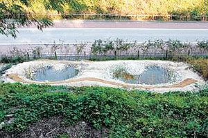 경사면에 옹달샘 월드컵공원 경사면에 야생동물이 물을 마실 수 있도록 만든 물웅덩이.