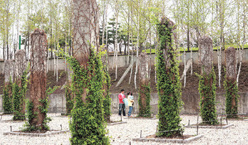 2002년 조성된 서울 선유도공원 내 녹색 기둥의 정원은 개발의 추억과 자연이 ‘공존’한다. 삭막한 콘크리트 기둥을 담쟁이 덩굴과 줄사철나무가 보듬으면서 이들은 하나가 된다. 김미옥 기자