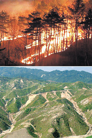 지난해 강원도 양양지역에 발생한 산불(위)과 1998년 산불이 발생한 뒤 대규모 산사태가 일어난 강원도 사천지역. 사진 제공 한국지질자원연구원