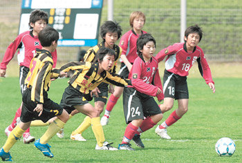 무리를 이뤄 볼을 쫓고 있는 파주천현초등학교와 동두천초등학교 선수들. 표정이 자못 진지하다. 김미옥  기자