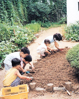 서남발도르프 어린이집의 아이들이 뒷마당에 있는 텃밭에서 상추를 가꾸고 있다.