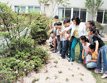 경기 안산시 초지동 별망초등학교 교사와 학생들이 29일 본관 옥상에 심은 야생화를 둘러보고 있다. 학생들은 쉬는 시간에 이곳에 와 이야기를 나누거나 나무 벤치에서 책을 읽는다. 남경현 기자