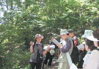 “소나무는 햇볕을 좋아해 능선 주위에서, 단풍나무는 물을 좋아해 계곡 주위에서 많이 볼 수 있어요.” 숲 해설가 정미경 씨(왼쪽)가 생태기행 참가자들에게 나무들의 특징을 설명하고 있다. 봉화=윤정국 문화전문기자