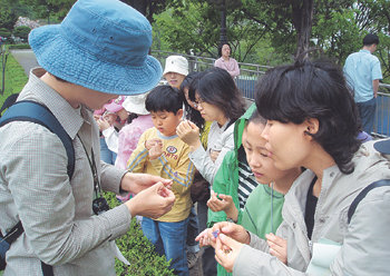 지난해 서울 남산공원 숲 속 여행 프로그램에 참여한 가족들이 숲 해설가의 설명을 유심히 듣고 있다. 올해 서울지역 숲 속 여행 프로그램은 17곳의 숲에서 6월부터 다시 시작됐다. 사진 제공 서울시