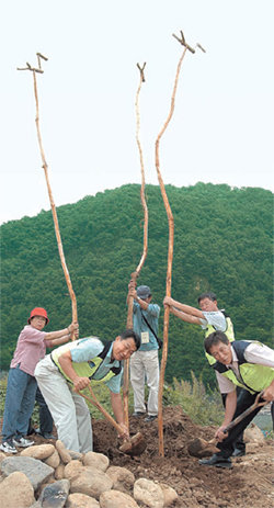 KT 사랑의 봉사단 단원들이 2005년 8월 강원 영월군 동강의 난개발을 막기 위한 전통가옥 복원사업 현장에서 봉사활동을 하고 있다. KT는 2003년부터 난개발이 우려되는 자연환경을 보전하기 위해 내셔널트러스트 운동을 펼치고 있다.