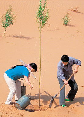 인위전, 바이완샹 씨 부부가 사막에 구덩이를 파고 묘목을 심은 뒤 양동이로 물을 주고 있다. 1년간 꾸준히 물을 주면 묘목은 사막에 뿌리를 내리고 스스로 생존하게 된다. 사진 제공 허브넷
