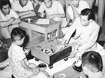 소년 조치훈과 대국조남철 9단이 1962년 친조카인 조치훈(당시 6세)이 일본으로 유학 가기 직전 기념대국을 벌이고 있다. 사진 제공 한국기원
