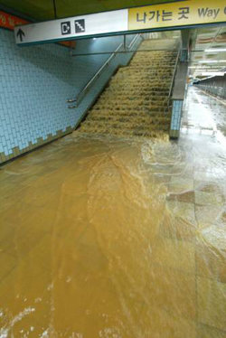 폭포가 된 계단 12일 집중호우로 운행이 중단된 지하철 3호선 정발산역 계단으로 물이 쏟아져내리고 있다[연합]