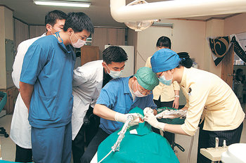 충북 청주시의 몽골치과의료봉사단 의료진이 몽골에서 현지인의 치아를 치료하고 있다. 사진 제공 이즈네트워크