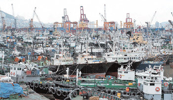 발 묶인 선박들제10호 태풍 ‘우쿵’이 북상하고 있는 가운데 18일 오후 부산항 제5부두에 선박들이 대피해 있다. 부산=최재호기자