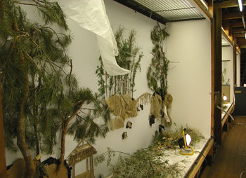 중국 작가 쉬빙 씨의 ‘백그라운드스토리 II’. 아크릴판 뒤에 나뭇가지와 솔잎 등을 붙인 뒤 조명을 비췄다. 앞에서 보면 한국의 전통 산수화를 재현한 것처럼 보인다. 사진 제공 광주비엔날레 사무국