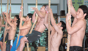 외줄타기 훈련을 하고 있는 레슬링 선수들. 강병기  기자