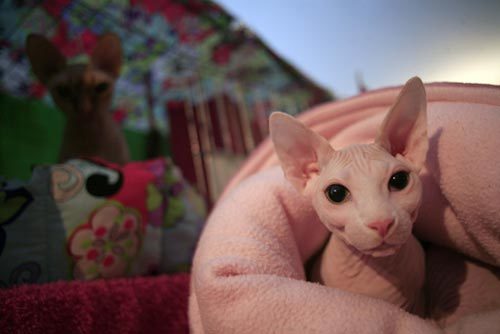 (로이터=동아닷컴 특약)