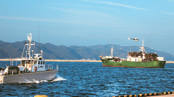 일본 정부가 13일 북한과의 모든 인적 물적 교류를 전면 봉쇄하는 추가 제재조치를 의결함에 따라 일본의 항구에 정박 중인 모든 북한 선박에 퇴거 명령이 내려졌다. 이날 오후 돗토리 현 사카이미나토 시에서 북한 선적 ‘삼해 1호’(오른쪽)가 해상보안청 소속 경비정의 감시하에 중고 자전거를 가득 실은 채 항구를 빠져나가고 있다. 멀리 방송사 소속으로 여겨지는 헬기가 보인다. 사카이미나토=천광암 특파원