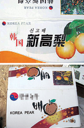 중국이 배를 수출하면서 한국산으로 오해할 수 있는 표기를 사용해 온 것으로 나타났다. ‘Korea Pear’, ‘韓國 신  고배’ 등의 글씨가 적힌 중국산 배       상자. 사진 제공 농협중국사무소