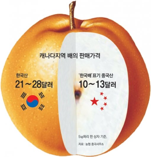 중국이 배를 수출하면서 한국산으로 오해할 수 있는 표기를 사용해 온 것으로 나타났다. ‘Korea Pear’, ‘韓國 신  고배’ 등의 글씨가 적힌 중국산 배       상자. 사진 제공 농협중국사무소