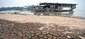 둥팅 호의 위양 어항 모습. 어로 작업을 나가지 못한 수십 척의 배가 정박해 있다. 이 어항만 해도 2100가구 6700여 명의 어민 중 3분의 2가 어업을 중단했다. 둥팅=신화