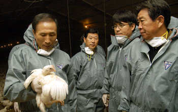 이명박 전 서울시장이 1일 조류인플루엔자(AI)가 발생한 전북 익산시 인근의 한 양계장을 방문해 방역복을 입은 채 닭을 살펴보고 있다. 사진 제공 안국포럼