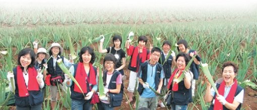 중국 하이난 성 완닝 시의 유니베라 알로에 농장을 찾은 ‘알로에수확체험단’. “세계를 무대로 활약하는 우리 한국 기업에 깊은 인상을 받았다”는 그들은 알로에 줄기잎을 딸 때마다 ‘따봉’ ‘심봤다’는 말을 하면서 즐거워했다. 완닝=나성엽 기자