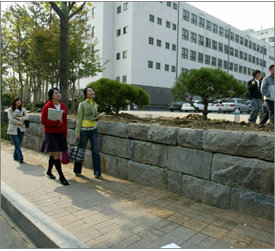 캠퍼스도…지난해 대학 담장을 허물고 녹지를 조성해 주민에게 개방한 서울 서대문구 남가좌동 명지대.